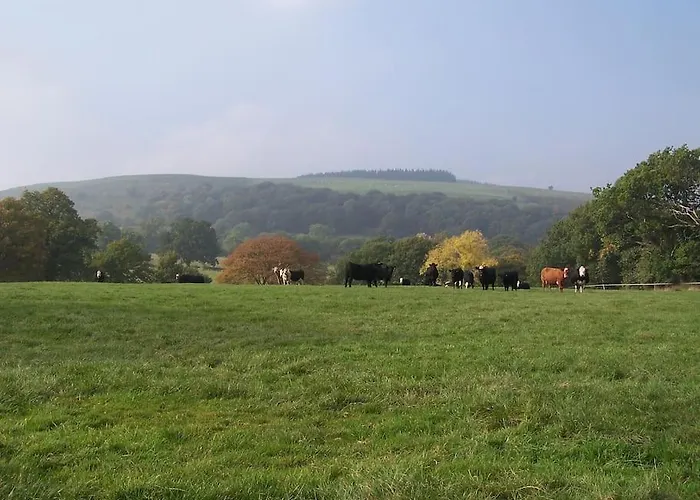 Stunning Cottage Nestled Under The Longmynd Hills.