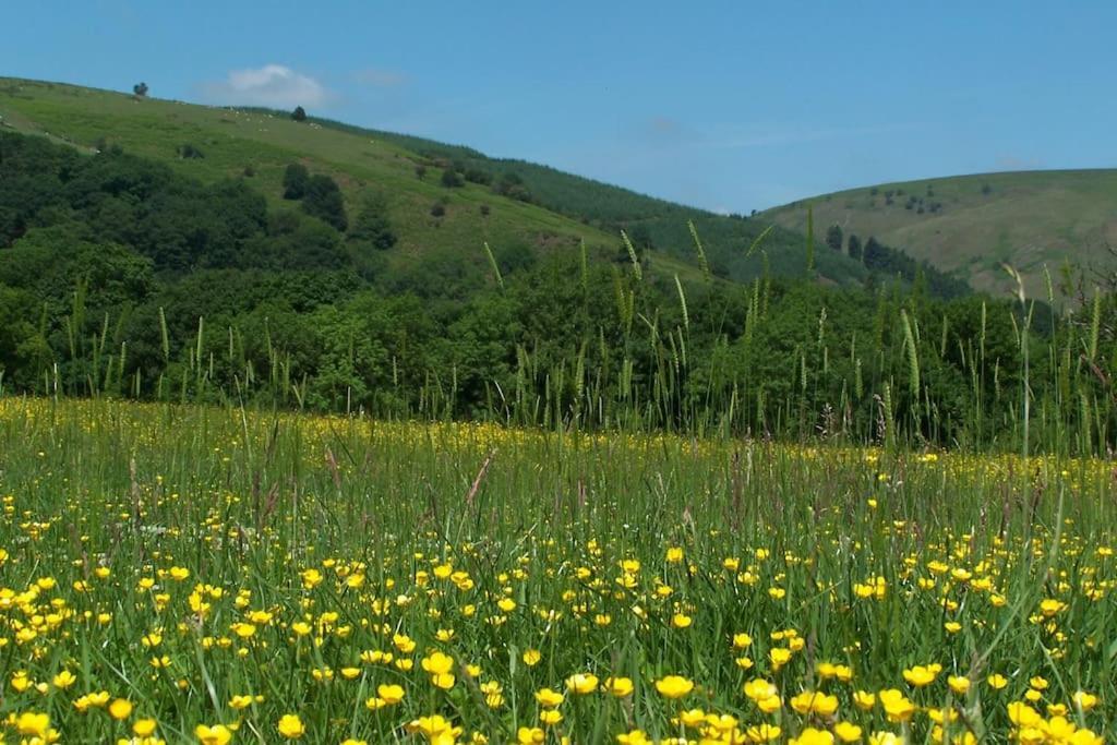 Stunning Nestled Under The Longmynd Hills. *