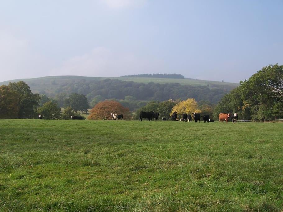 Stunning Nestled Under The Longmynd Hills.