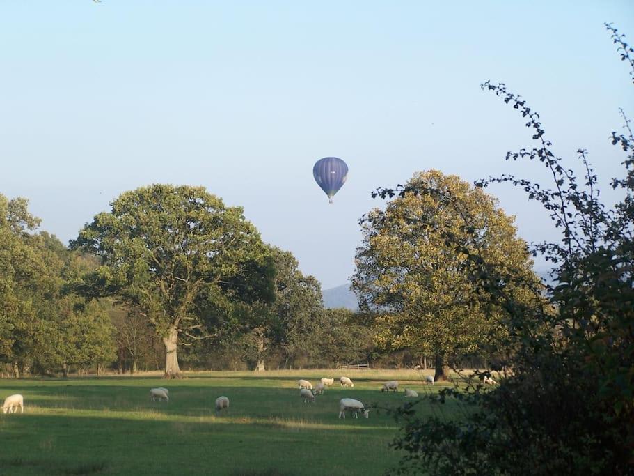 Stunning Nestled Under The Longmynd Hills. *